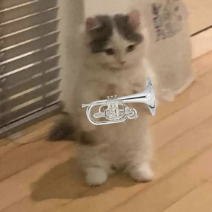 Fundraising Page: Rainier Acojido